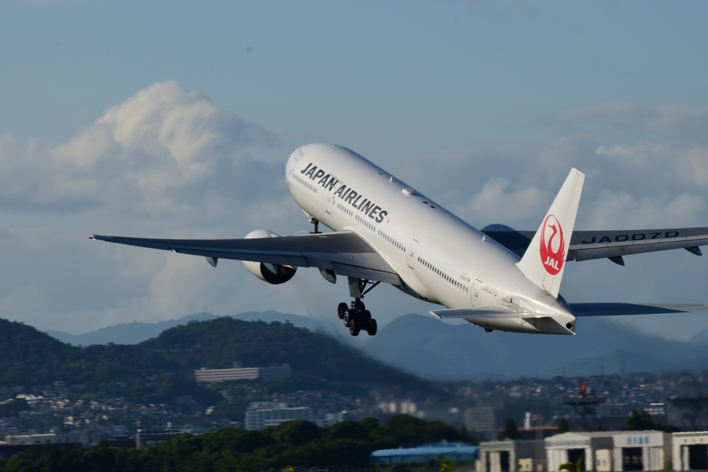 行ってらっしゃい！