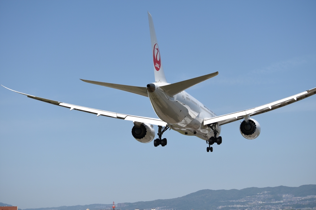 JAL Boeing 787