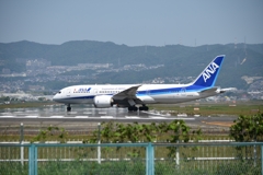 ANA Boeing 787-8 Dreamliner