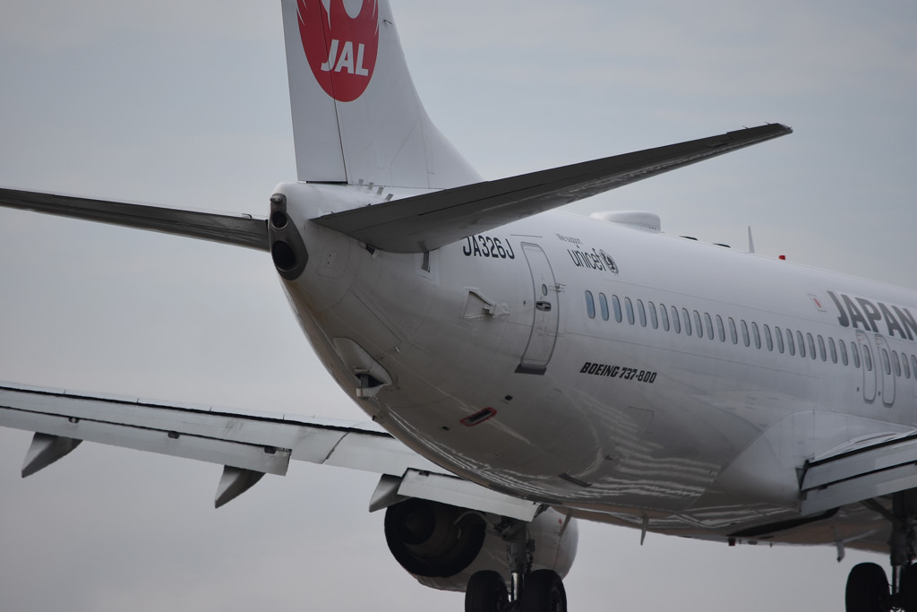 BOEING 737-800 お尻