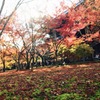 京都