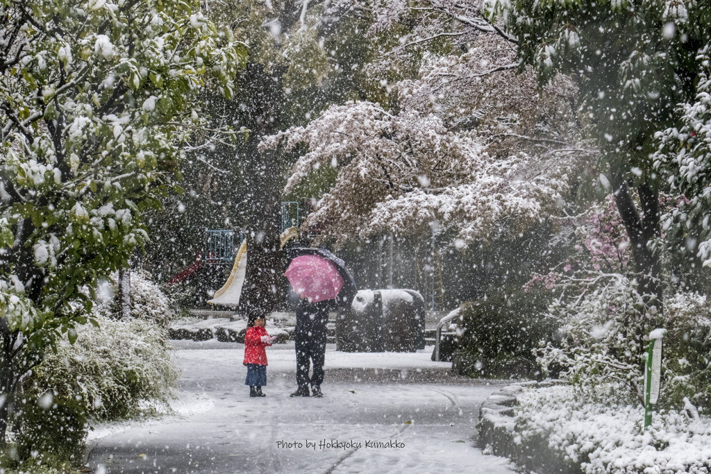 雪の公園
