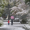 雪の公園