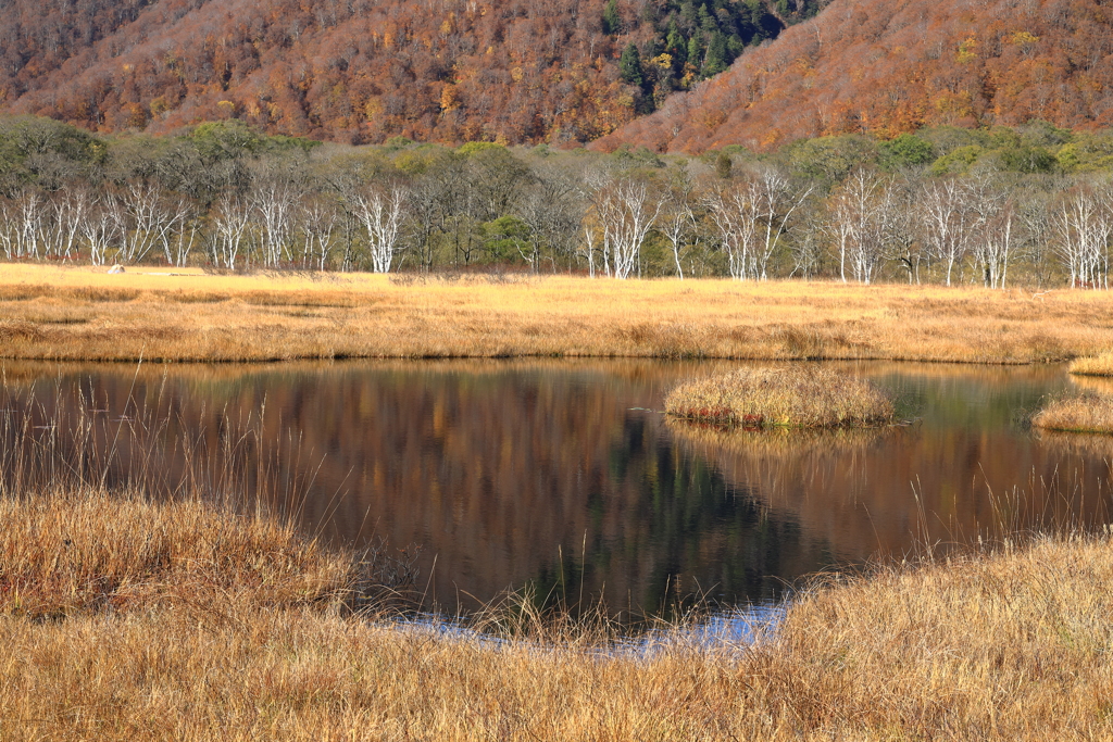 二紅の池塘