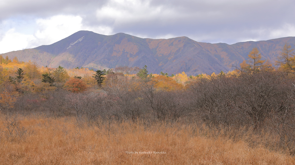 三倉山 大倉山 流石山