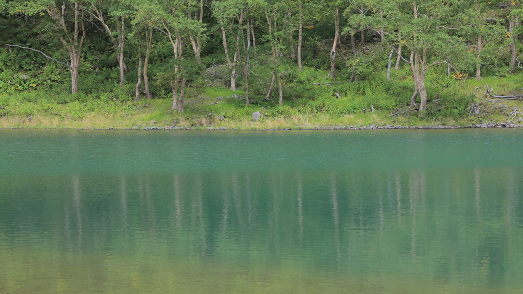 魅惑の沼 百景 V