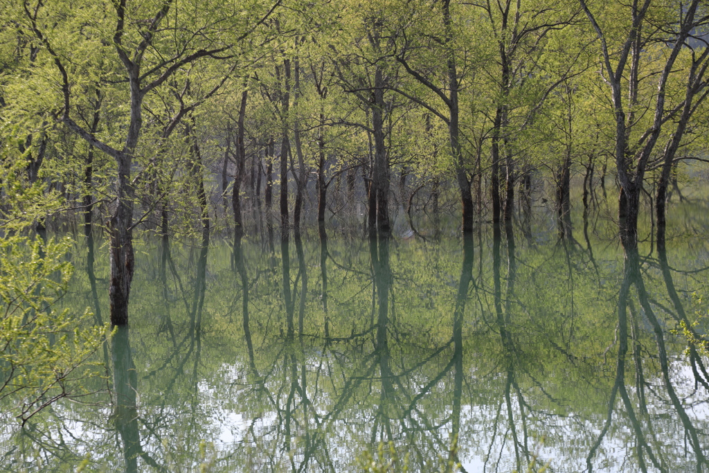 水鏡