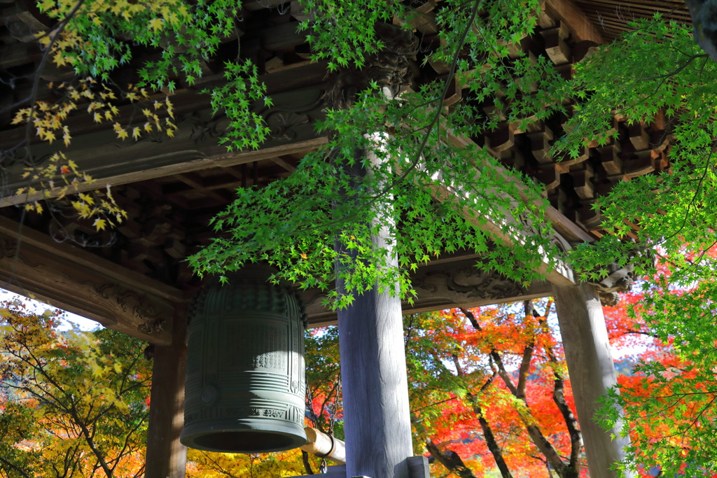 修善寺 鐘楼堂