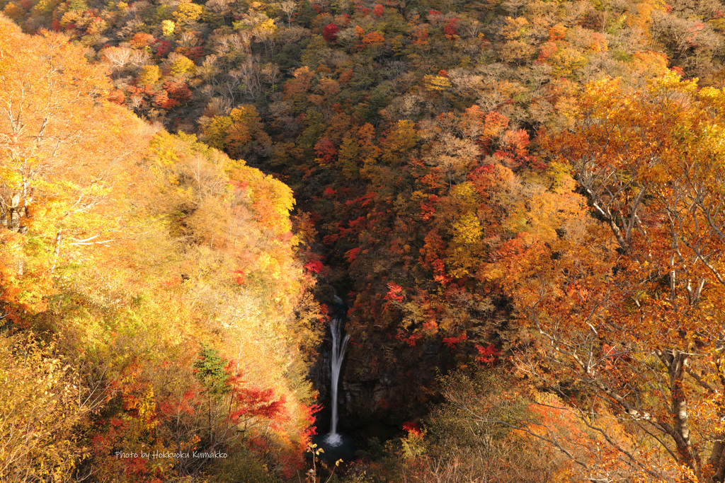 駒止の滝 秋景 光