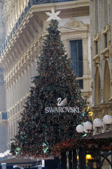  SWAROVSKI クリスマスツリー 凛