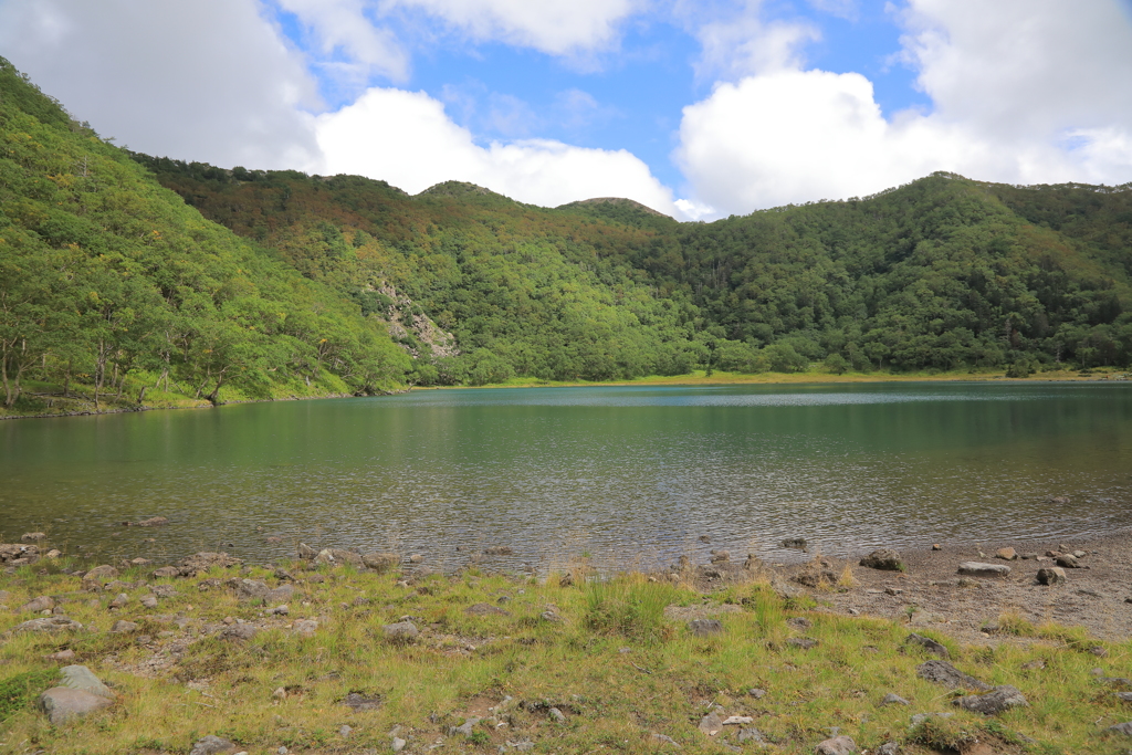 魅惑の沼 百景 VI