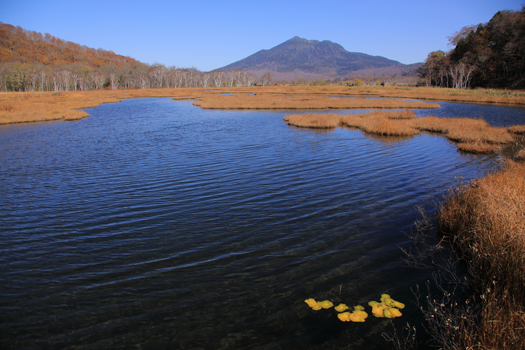 燧ケ岳~羊草を添えて～