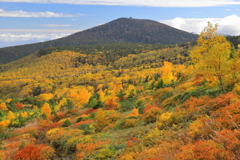 東吾妻山の紅葉