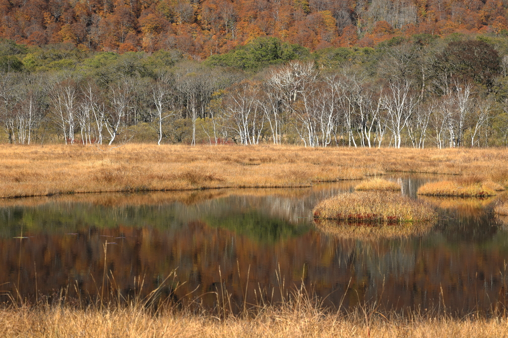 紅の池塘