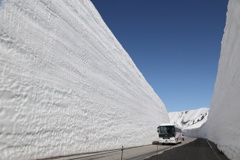 雪の大谷