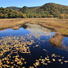 秋の池塘