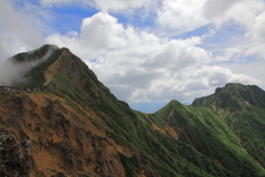 八ヶ岳 夏