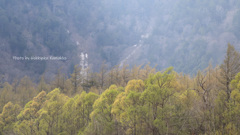 上高地の春