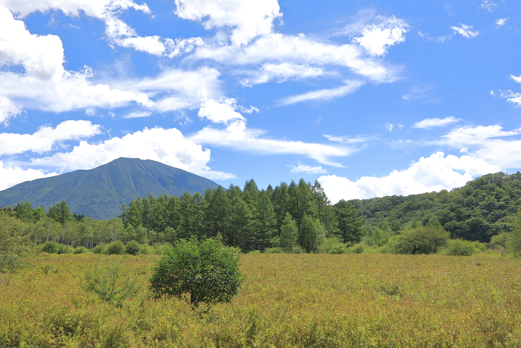 夏の終わりに