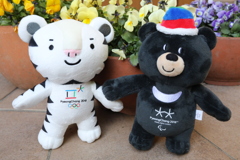 一緒に応援(^^♪