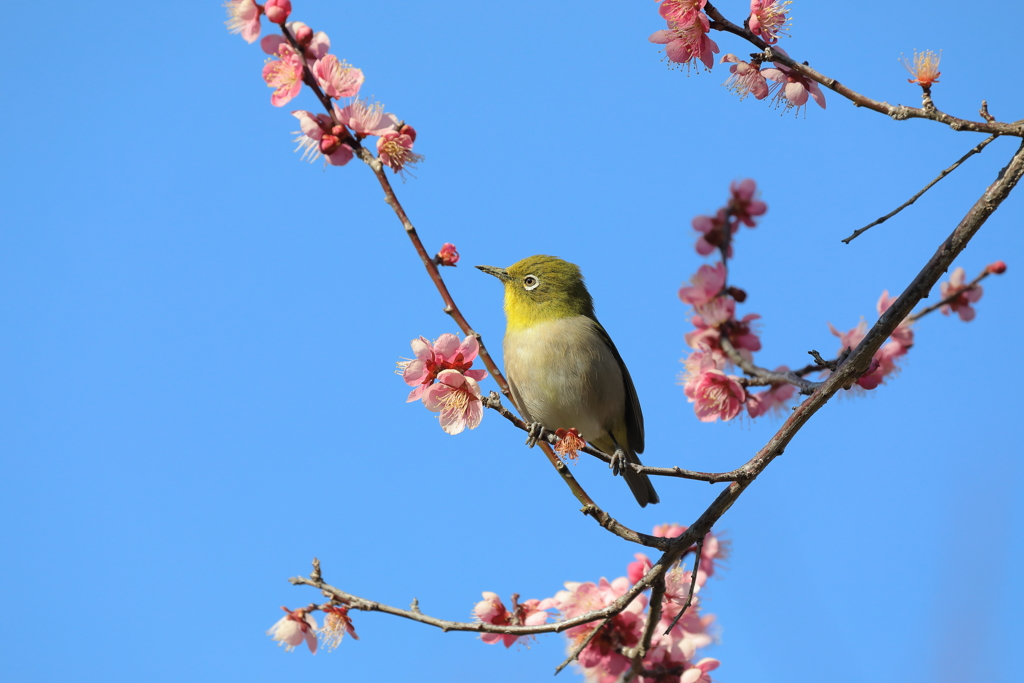 ちょっと休憩