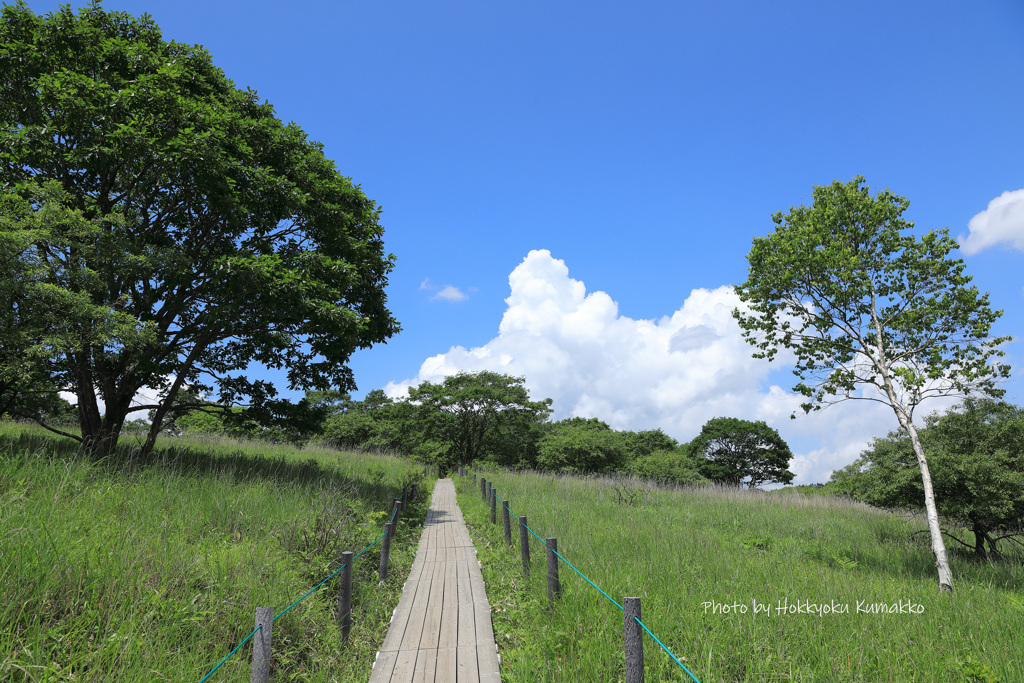 夏きました(*^^)v