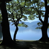 湖畔の春