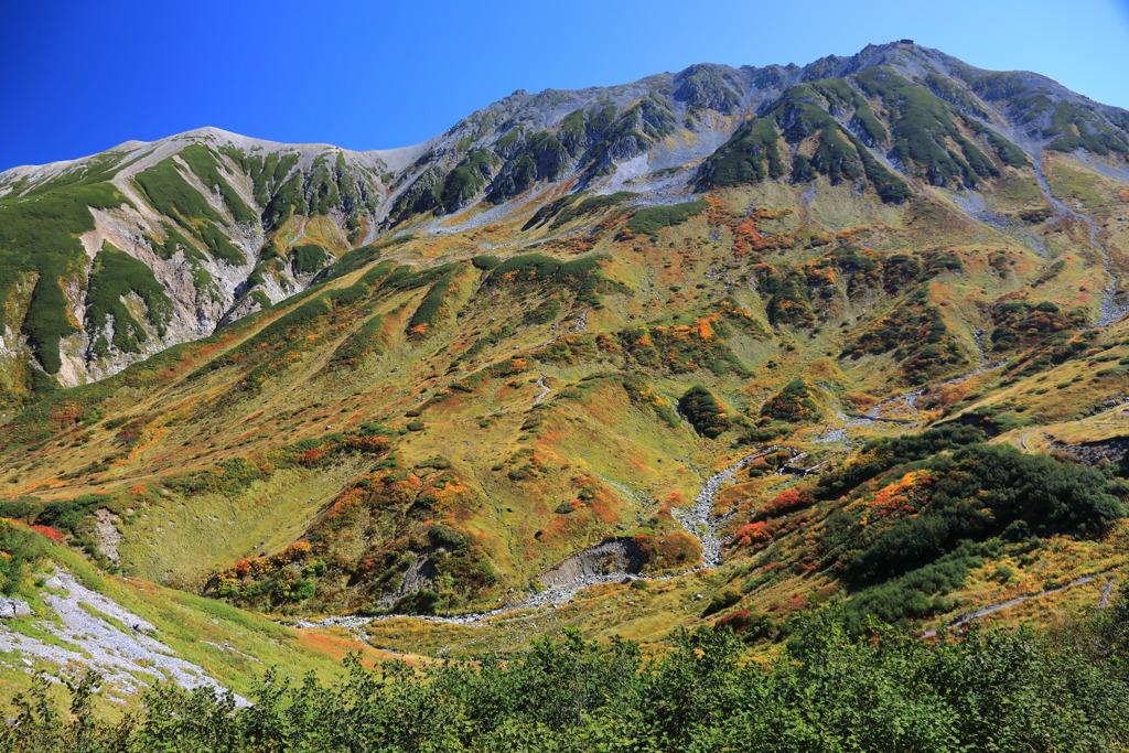 秋景 立山