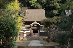 鎌倉円覚寺 舎利殿の秋
