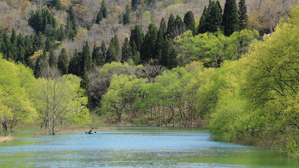 Canoe road