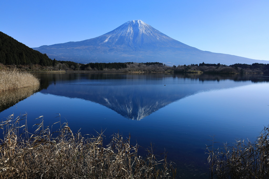 静かな冬の朝