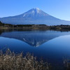 静かな冬の朝