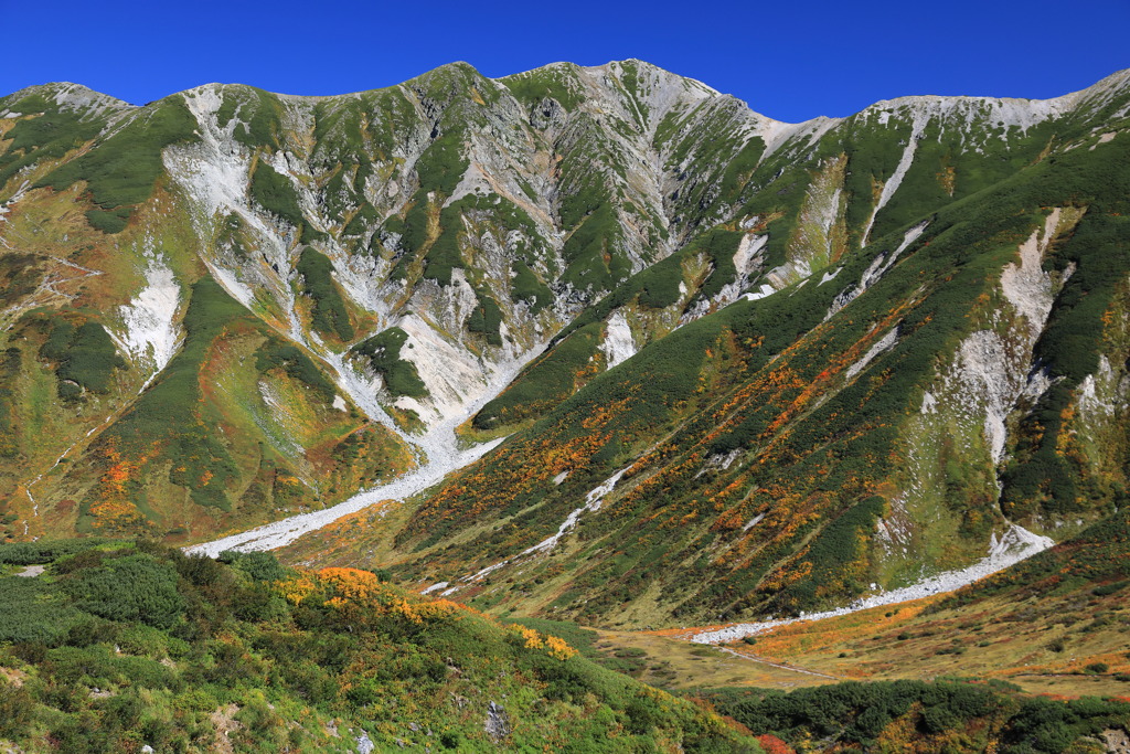 秋景 別山南峰