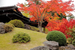 紅葉の箱根美術館