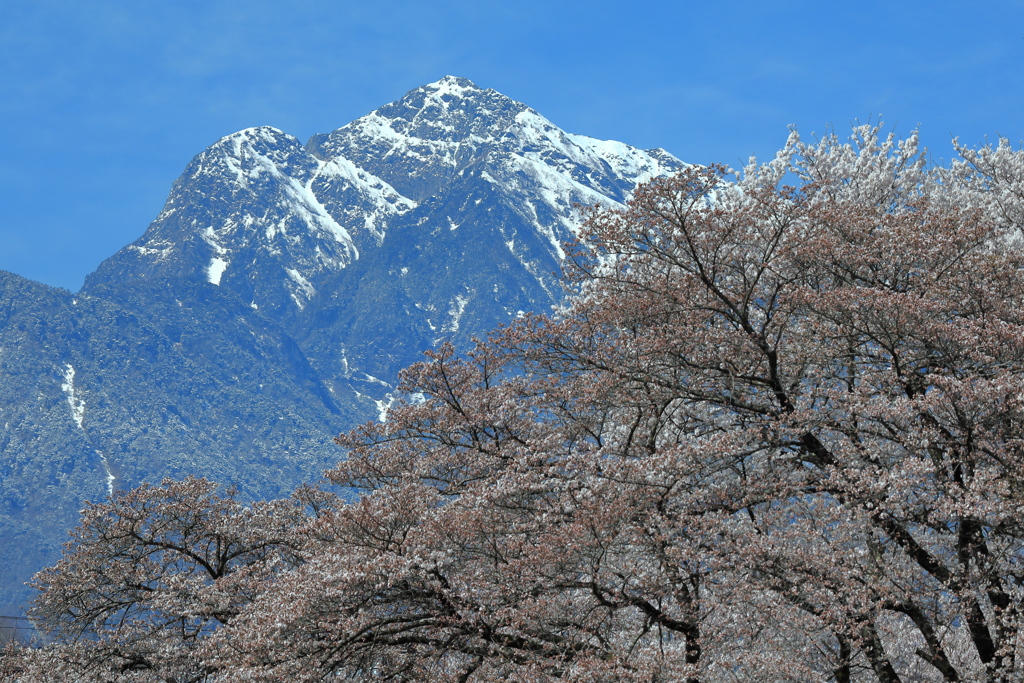甲斐駒の春