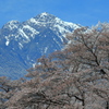 甲斐駒の春