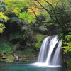 初景の滝（河津七滝）