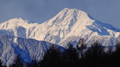 北岳遠望