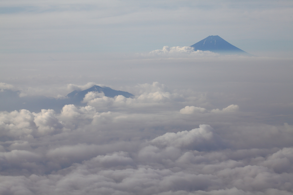 雲上に浮かぶ富士
