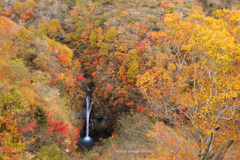 駒止の滝 秋景 穏