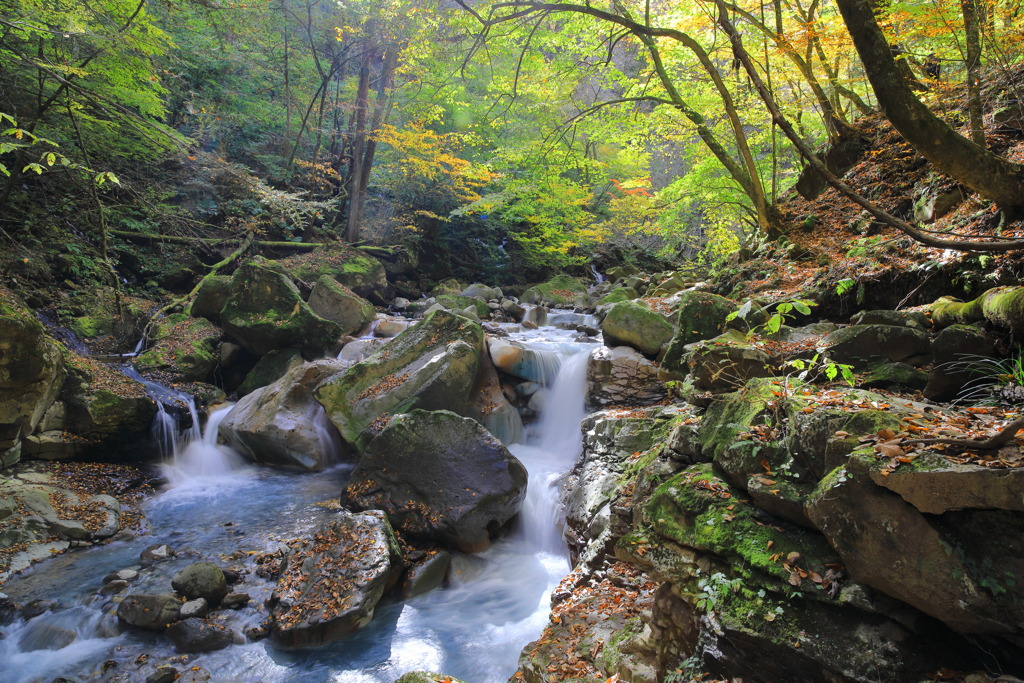 秋景 スッカン沢