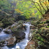秋景 スッカン沢