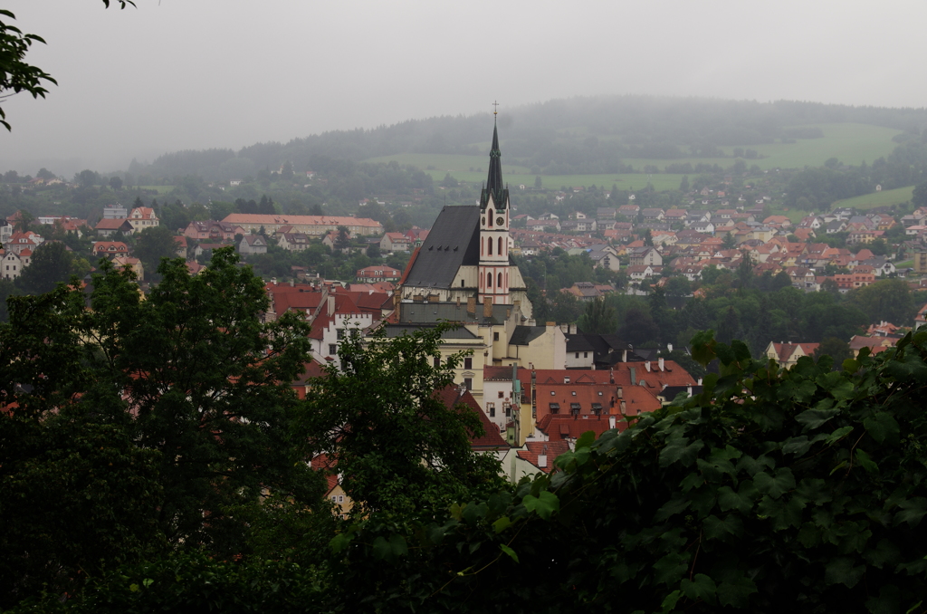 IMGP0330