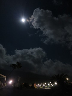 月明り