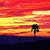 夕景
