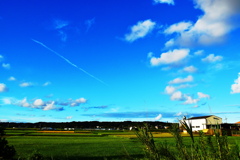 田園風景