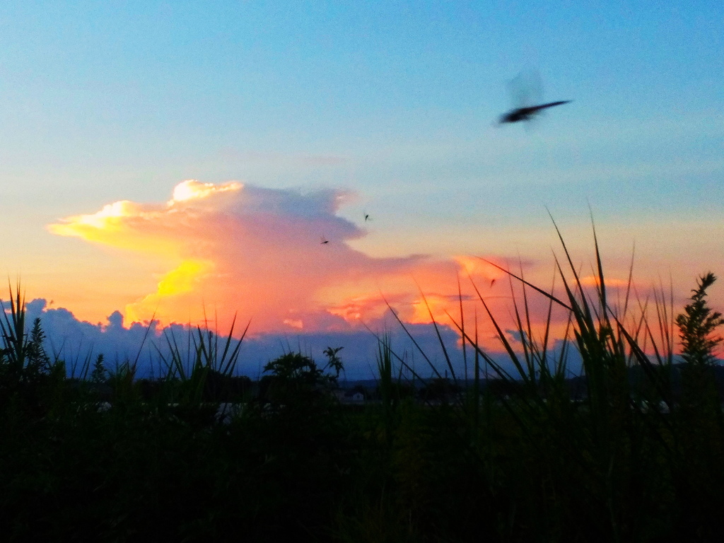 秋の夕暮れ