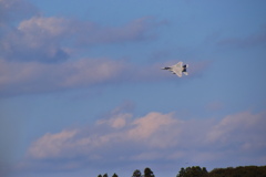 新田原航空祭2024