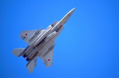 F15戦闘機 （梅）