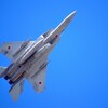 F15戦闘機 （梅）